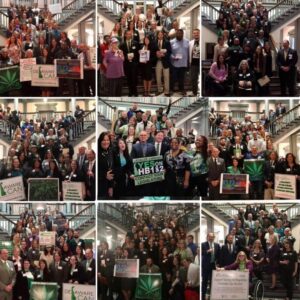 Delaware Cannabis Advocacy Network — Dover, DE