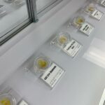 Store – gallery image 3