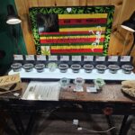 Store – gallery image 3