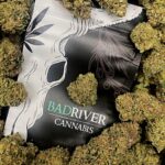 Store – gallery image 3