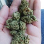 Store – gallery image 4