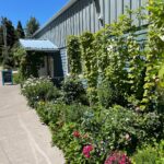 Store – gallery image 1