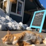 Store – gallery image 3