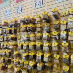 Store – gallery image 3