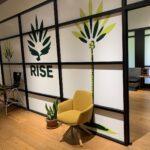 Store – gallery image 4