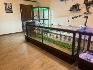 Green Tree Wellness Premium Cannabis Dispensary — Vicksburg, MS