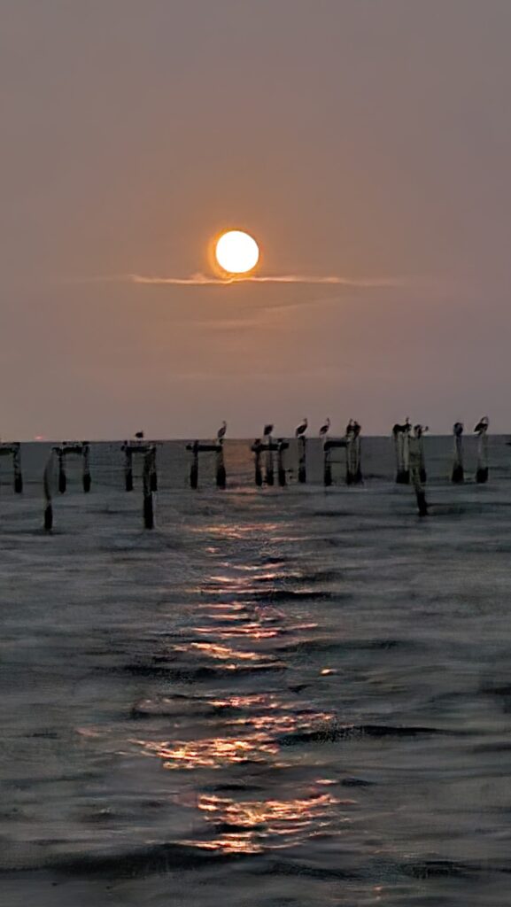 Store – main photo