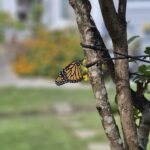 Store – gallery image 2