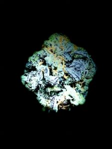 Green Vault — Jackman, ME