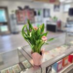 Store – gallery image 4