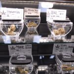 Store – gallery image 4