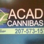 Store – gallery image 1