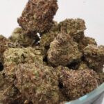 Store – gallery image 5