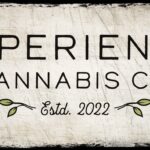 Store – gallery image 2