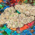 Store – gallery image 3