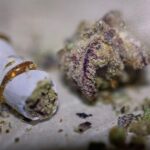 Store – gallery image 2