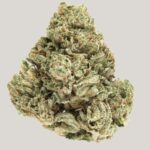 Store – gallery image 2