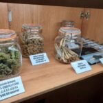 Store – gallery image 3