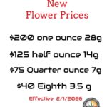 Store – gallery image 2