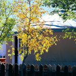 Store – gallery image 2