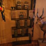 Store – gallery image 4