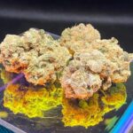 Store – gallery image 1