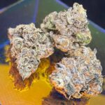 Store – gallery image 3