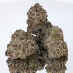 Store – gallery image 5