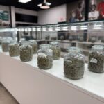 Store – gallery image 3