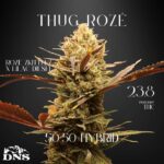 Store – gallery image 3