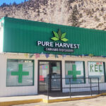 Store – gallery image 1