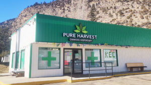 Pure Harvest Cannabis Dispensary — Downieville-Lawson-Dumont, CO
