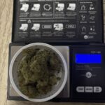 Store – gallery image 4