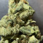 Store – gallery image 1