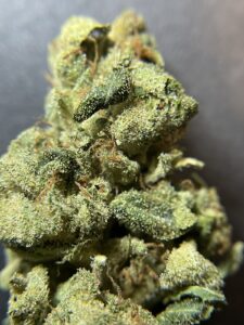 Rowley’s Remedies — Lebanon, ME