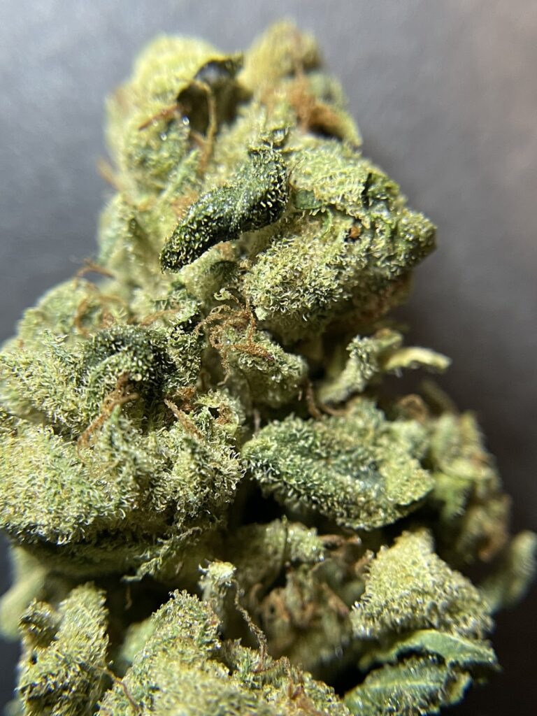 Store – main photo