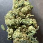 Store – gallery image 5