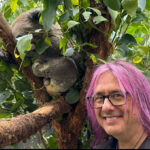 Store – gallery image 5