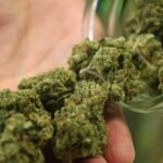 Store – gallery image 4