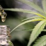 Store – gallery image 5