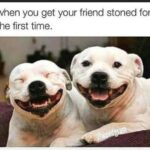 Store – gallery image 1