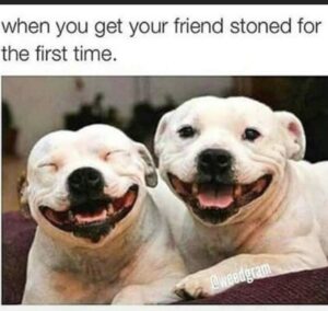 Mindful Medicine Cannabis Cards — Albuquerque, NM