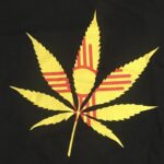 Store – gallery image 3