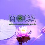 Store – gallery image 1