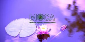 Medicinal Organic Cannabis Australia (MOCA)