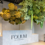 Store – gallery image 2