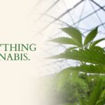 Store – gallery image 1