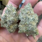 Store – gallery image 3