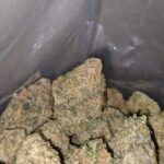 Store – gallery image 4