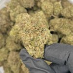 Store – gallery image 5